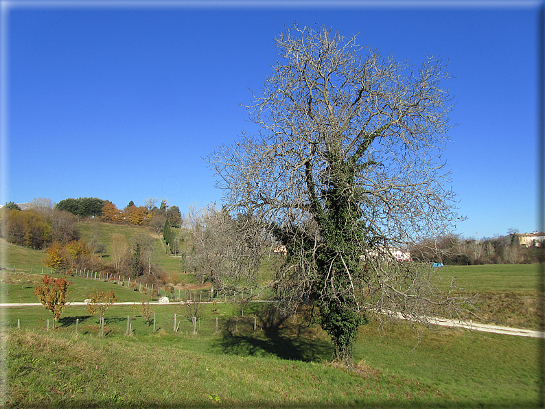 foto Paesaggi autunnali